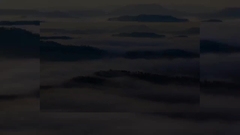 Giới thiệu công ty